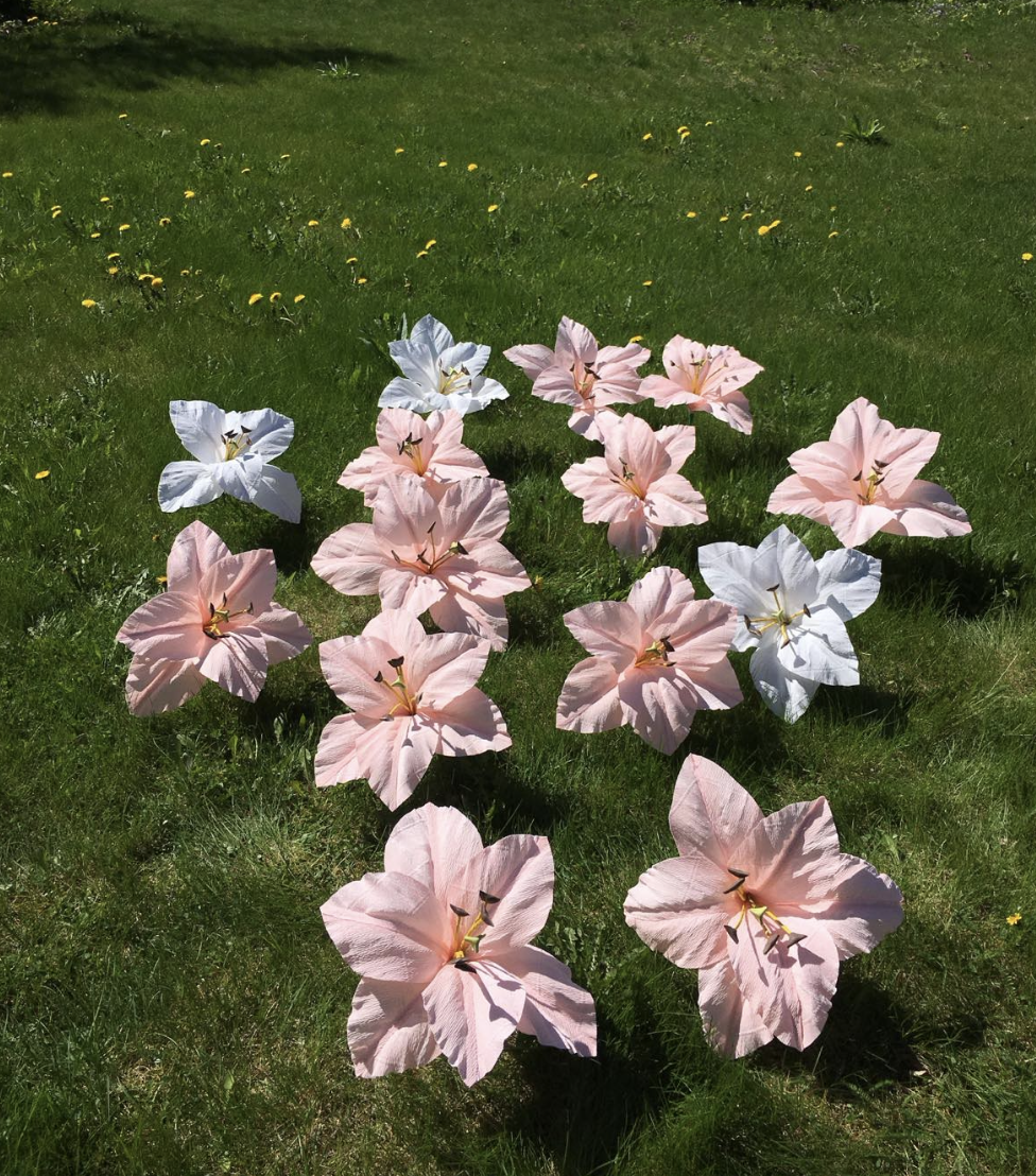 GIGANTLILLEDE MEISTRIKLASS 22.11 KELL 11-15 - Image 2