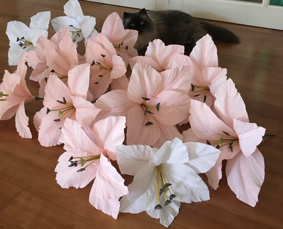 GIGANTLILLEDE MEISTRIKLASS 22.11 KELL 11-15 - Image 3